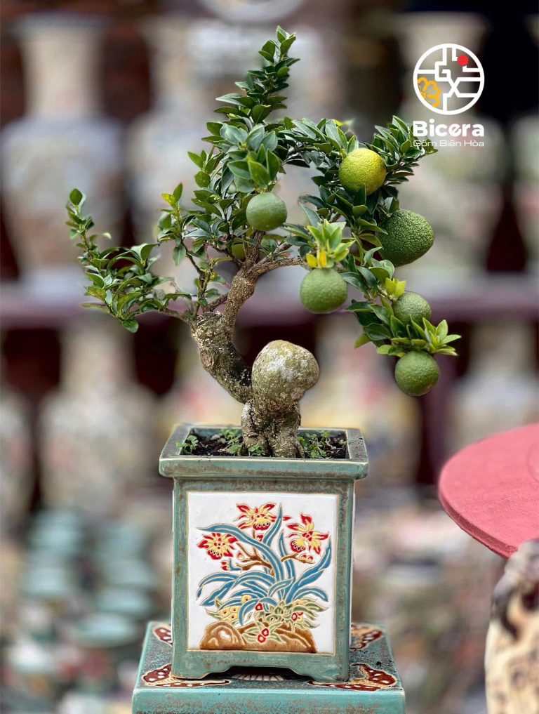Chậu tứ quý